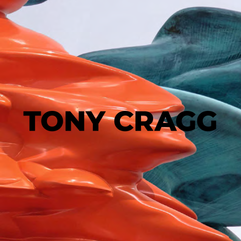 TONY CRAGG TONY CRAGG