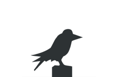 Die Krähe II Die Krähe II