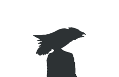 Die Krähe IV